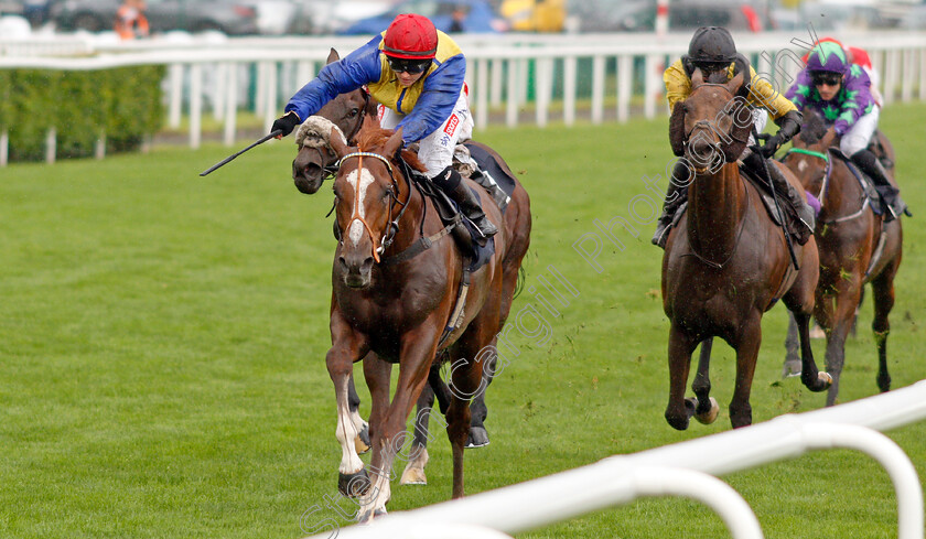 Rhythmic-Intent-0002 
 RHYTHMIC INTENT (Hollie Doyle) wins The racehorselotto.com Mallard Handicap
Doncaster 10 Sep 2021 - Pic Steven Cargill / Racingfotos.com