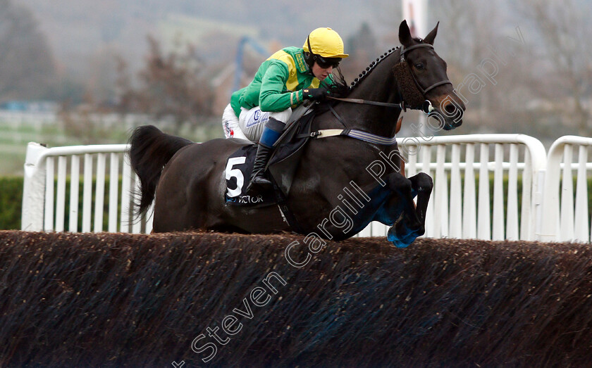 Rock-On-Rocky-0001 
 ROCK ON ROCKY (Stan Sheppard)
Cheltenham 16 Nov 2018 - Pic Steven Cargill / Racingfotos.com