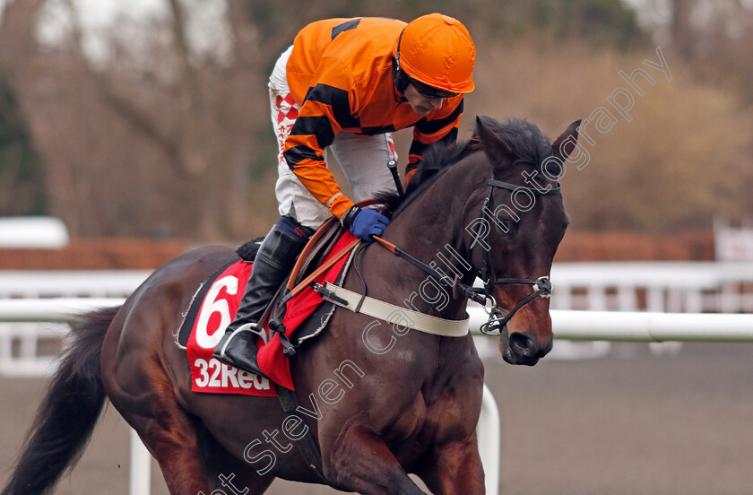 West-Approach-0001 
 WEST APPROACH (Tom Scudamore) Kempton 26 Dec 2017 - Pic Steven Cargill / Racingfotos.com