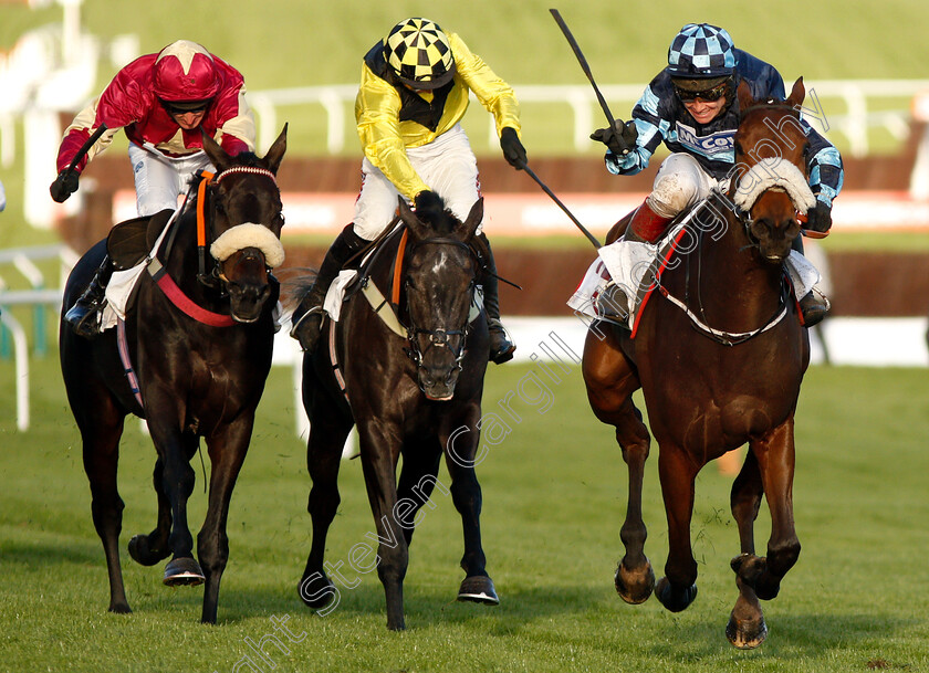 Thomas-Darby-0005 
 THOMAS DARBY (right, Richard Johnson) beats ELIXIR DE NUTZ (centre) and BANG ON FRANKIE (left) in The Foundation Developments Ltd Maiden Hurdle
Cheltenham 26 Oct 2018 - Pic Steven Cargill / Racingfotos.com