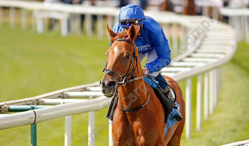 Albahr-0002 
 ALBAHR (William Buick)
York 13 May 2021 - Pic Steven Cargill / Racingfotos.com