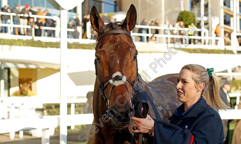 Pic-d Orhy-0004 
 PIC D'ORHY winner of The Nirvana Spa 1965 Chase
Ascot 25 Nov 2023 - Pic Steven Cargill / Racingfotos.com