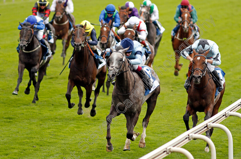 Harrow-0005 
 HARROW (Oisin Murphy) beats MAGLEV (right) in The OR8wellness EBF Stallions Nursery
York 19 Aug 2021 - Pic Steven Cargill / Racingfotos.com