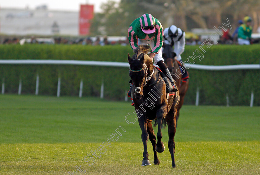 Pogo-0001 
 POGO (Kieran Shoemark)
Sakhir Racecourse, Bahrain 19 Nov 2021 - Pic Steven Cargill / Racingfotos.com