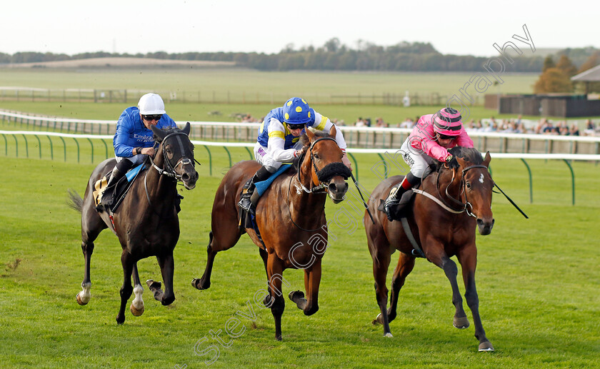 Sons-And-Lovers-0005 
 SONS AND LOVERS (right, David Egan) beats PLACO (centre) and POINT SUR (left) in The Virgin Bet Daily Price Boost Maiden Stakes
Newmarket 7 Oct 2023 - Pic Steven Cargill / Racingfotos.com