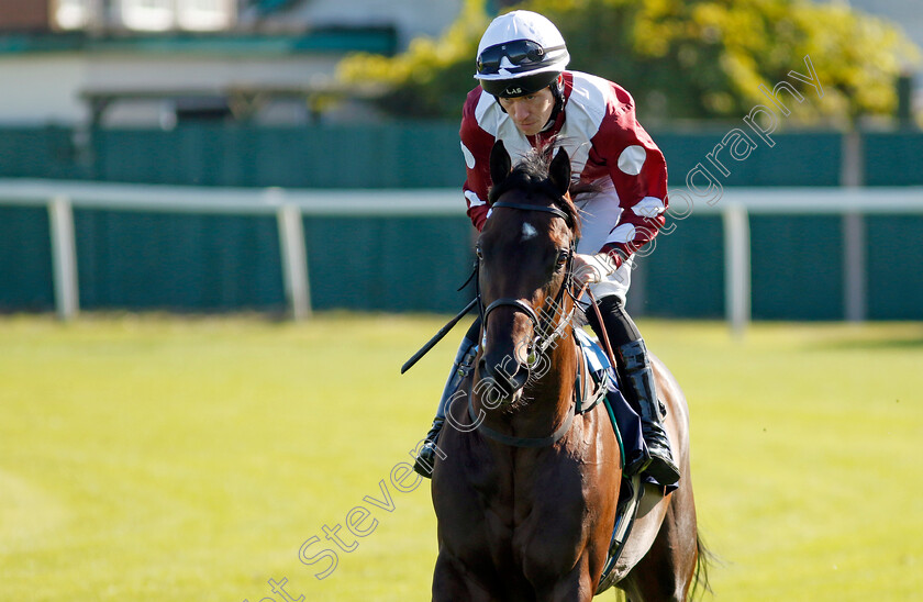 Raavi-0001 
 RAAVI (Paddy Bradley)
Yarmouth 17 Sep 2024 - Pic Steven Cargill / Racingfotos.com