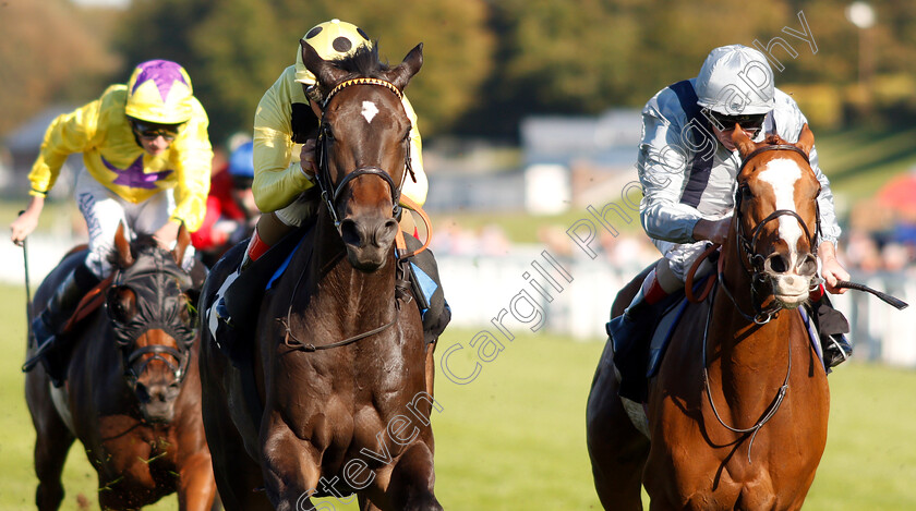 Elasia-0003 
 ELASIA (left, Andrea Atzeni) beats FIRE JET (right) in The TBA #thisfillycan Fillies Handicap
Goodwood 26 Sep 2018 - Pic Steven Cargill / Racingfotos.com