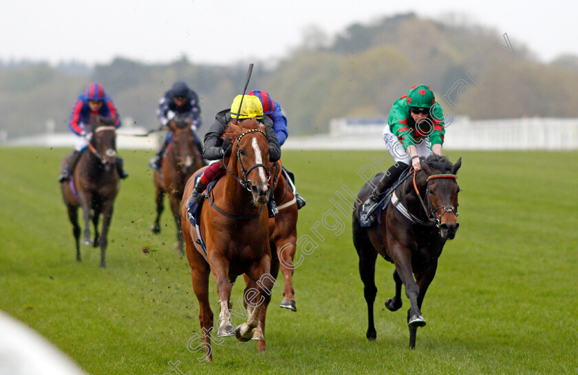 Stradivarius-0009 
 STRADIVARIUS (left, Frankie Dettori) beats OCEAN WIND (right) in The Longines Sagaro Stakes
Ascot 28 Apr 2021 - Pic Steven Cargill / Racingfotos.com