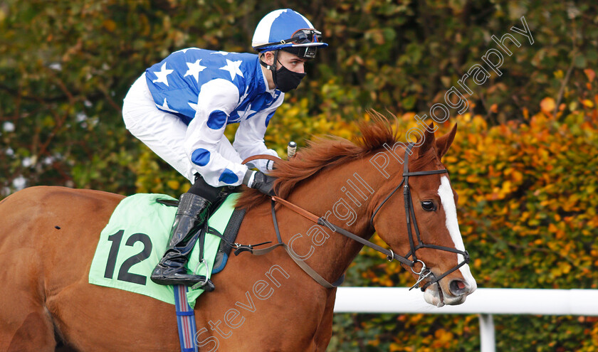 Party-Island-0001 
 PARTY ISLAND (George Bass) before winning The Try Our New Price Boosts At Unibet Handicap
Kempton 2 Nov 2020 - Pic Steven Cargill / Racingfotos.com