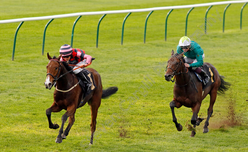 Many-Men-0002 
 MANY MEN (Jack Doughty) beats ANNIVERSARY (Rob Hornby) in The British StallionStuds EBF Future Stayers Nursery
Newmarket 23 Oct 2024 - Pic Steven Cargill / Racingfotos.com