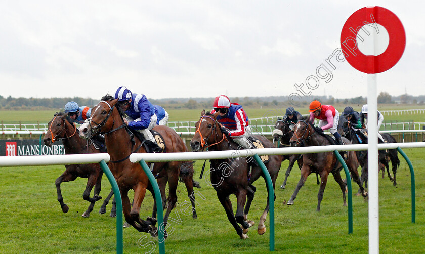 Numoor-0003 
 NUMOOR (Dane O'Neill) wins The Bet 10 Get 20 At Mansionbet Nursery
Newmarket 21 Oct 2020 - Pic Steven Cargill / Racingfotos.com