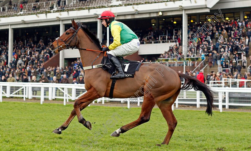 Ainchea-0001 
 AINCHEA (Bryan Cooper) Cheltenham 1 Jan 2018 - Pic Steven Cargill / Racingfotos.com