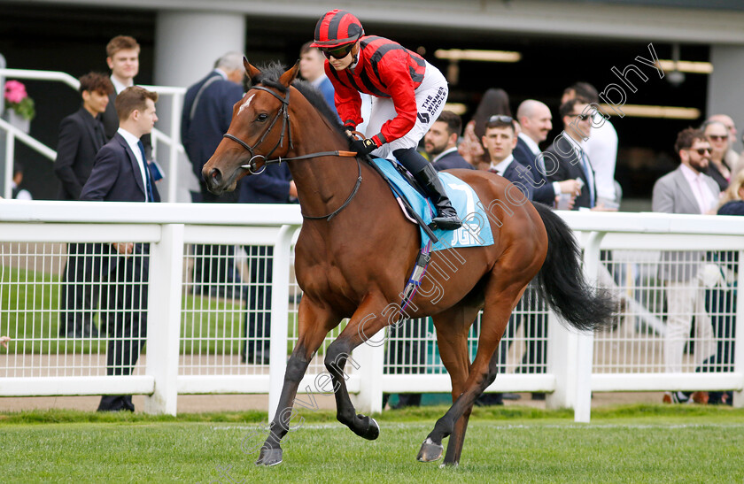 Saariselka-0001 
 SAARISELKA (Saffie Osborne)
Ascot 26 Jul 2024 - Pic Steven Cargill / Racingfotos.com