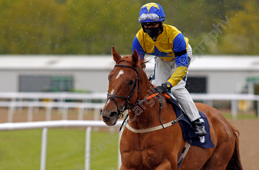 Nine-Elms-0001 
 NINE ELMS (Lewis Edmunds)
Wolverhampton 24 May 2021 - Pic Steven Cargill / Racingfotos.com