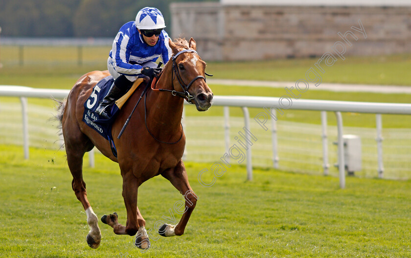 Queen-Power-0003 
 QUEEN POWER (Silvestre De Sousa) wins The Al Basti Equiworld Dubai Middleton Stakes
York 13 May 2021 - Pic Steven Cargill / Racingfotos.com