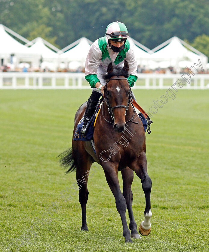 Little-Earl-0001 
 LITTLE EARL (Ray Dawson)
Ascot 17 Jun 2021 - Pic Steven Cargill / Racingfotos.com