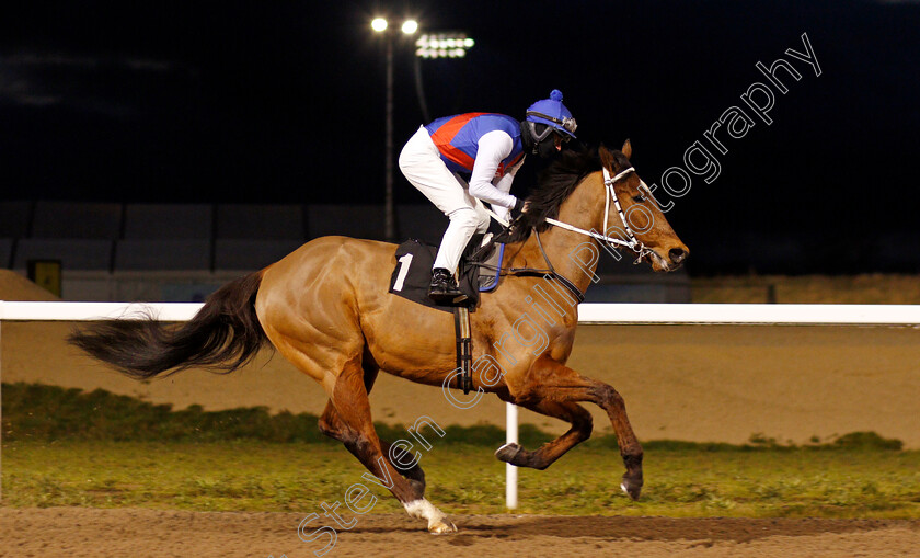 Ambassadorial-0001 
 AMBASSADORIAL (Richard Kingscote)
Chelmsford 4 Mar 2021 - Pic Steven Cargill / Racingfotos.com