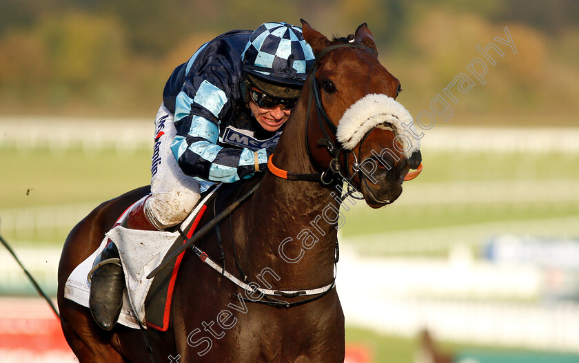 Thomas-Darby-0010 
 THOMAS DARBY (Richard Johnson) wins The Foundation Developments Ltd Maiden Hurdle
Cheltenham 26 Oct 2018 - Pic Steven Cargill / Racingfotos.com