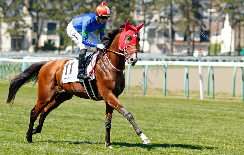 King-Hermes-0002 
 KING HERMES (R Sakai)
Deauville 7 Aug 2022 - Pic Steven Cargill / Racingfotos.com