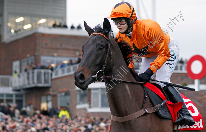 Tea-For-Two-0001 
 TEA FOR TWO (Lizzie Kelly) Kempton 26 Dec 2017 - Pic Steven Cargill / Racingfotos.com