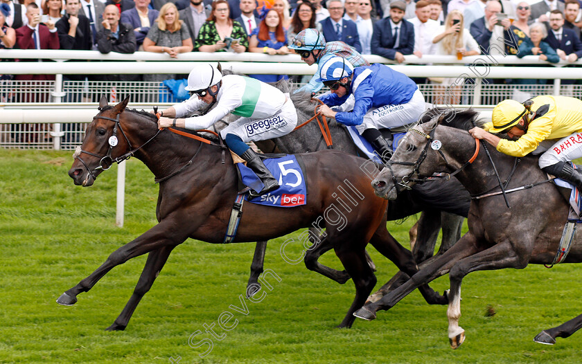 Valley-Forge-0004 
 VALLEY FORGE (David Probert) wins The Sky Bet Melrose Stakes
York 21 Aug 2021 - Pic Steven Cargill / Racingfotos.com