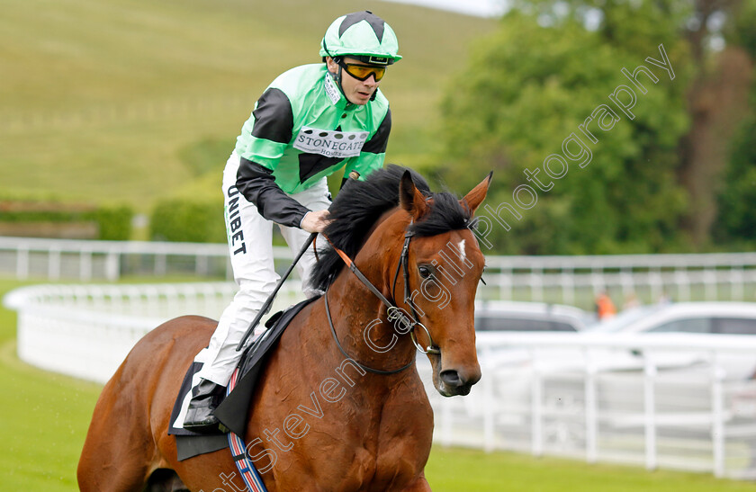 Galeron 
 GALERON (Jamie Spencer)
Goodwood 20 May 2022 - Pic Steven Cargill / Racingfotos.com