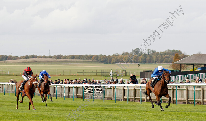 Tremorgio-0005 
 TREMORGIO (James Doyle) wins The Boodles Maiden Stakes
Newmarket 23 Oct 2024 - Pic Steven Cargill / Racingfotos.com