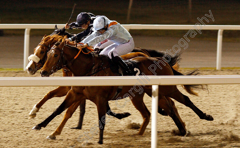 Red-Bond-0002 
 RED BOND (Sean Levey) wins The Bet totetrifecta At totesport.com Handicap
Chelmsford 21 Feb 2019 - Pic Steven Cargill / Racingfotos.com