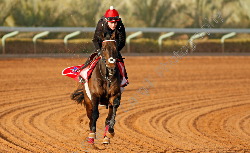 Prince-Of-Arran-0002 
 PRINCE OF ARRAN preparing for the Turf Handicap
Riyadh Racecourse, Kingdom of Saudi Arabia 26 Feb 2020 - Pic Steven Cargill / Racingfotos.com