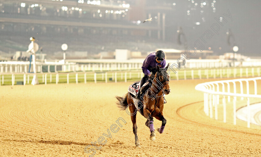 Jun-Light-Bolt-0002 
 JUN LIGHT BOLT training for the Dubai World Cup
Meydan, Dubai, 21 Mar 2023 - Pic Steven Cargill / Racingfotos.com