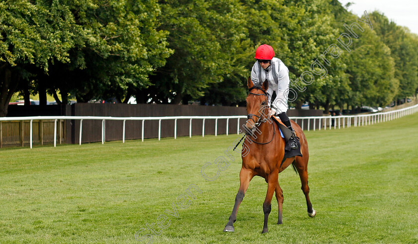 Orchard-Keeper-0003 
 ORCHARD KEEPER (Jack Mitchell) winner of The Long Shot Refreshment Banker Fillies Handicap
Newmarket 28 Jun 2024 - Pic Steven Cargill / Racingfotos.com