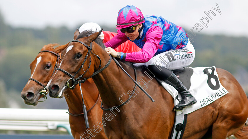 Dare-To-Dream-0002 
 DARE TO DREAM (T Piccone) wins The Prix de la Reboursiere
Deauville 12 Aug 2023 - Pic Steven Cargill / Racingfotos.com