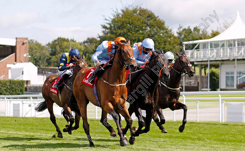 Cold-Stare-0002 
 COLD STARE (left, Harry Bentley) beats MAGICAL WISH (2nd right) in The Brian Chattaway Celebrating 50 Years At Ladbrokes Handicap
Goodwood 29 Aug 2020 - Pic Steven Cargill / Racingfotos.com