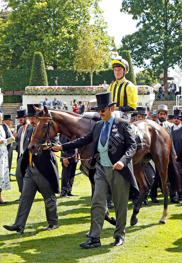 Eldar-Eldarov-0007 
 ELDAR ELDAROV (David Egan) after The Queen's Vase
Royal Ascot 15 Jun 2022 - Pic Steven Cargill / Racingfotos.com