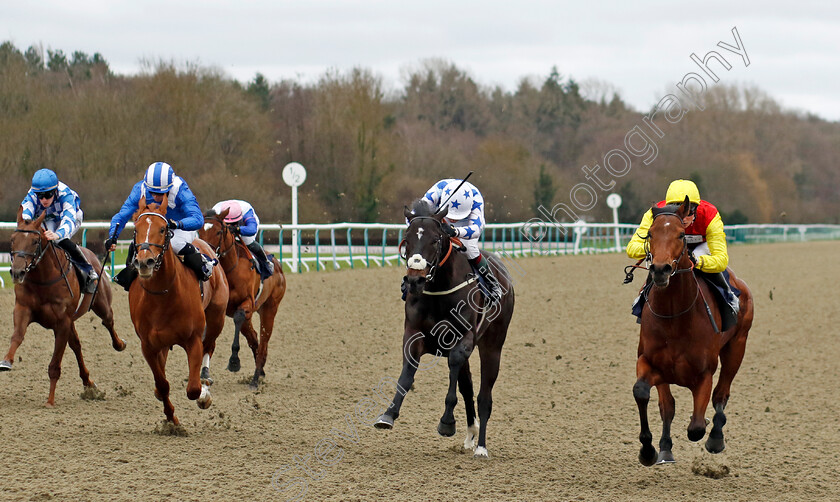 Kodiac-Thriller-0004 
 KODIAC THRILLER (right, William Cox) beats MIDNIGHT RAVENS (2nd right) and WALEEFY (2nd left) in The BetMGM It's Showtime EBF Novice Stakes
Lingfield 23 Dec 2023 - Pic Steven Cargill / Racingfotos.com