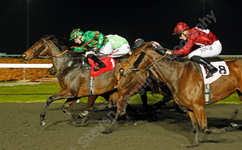 Veena-0003 
 VEENA (Oisin Murphy) beats MAGIC MIRROR (right) in The 100% Profit Boost At 32Redsport.com Fillies Handicap Kempton 20 Dec 2017 - Pic Steven Cargill / Racingfotos.com