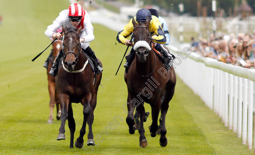 Dream-Shot-0004 
 DREAM SHOT (left, Jamie Spencer) beats SPANISH ANGEL (right) in The Thames Materials Muck Away EBF Novice Auction Stakes
Goodwood 24 May 2019 - Pic Steven Cargill / Racingfotos.com