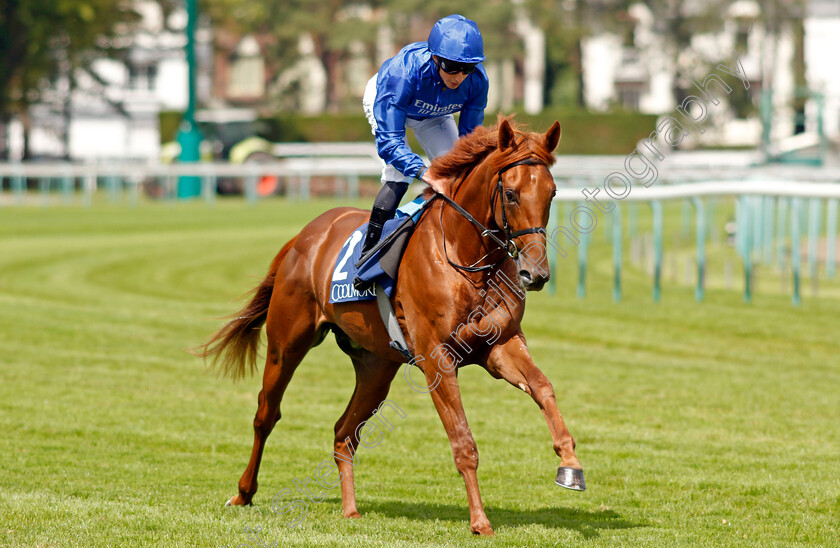 Majestic-One-0001 
 MAJESTIC ONE (William Buick)
Deauville 13 Aug 2023 - Pic Steven Cargill / Racingfotos.com