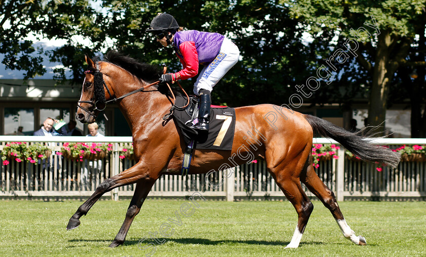 West-Newton-0001 
 WEST NEWTON (Hayley Turner)
Newmarket 27 Jun 2019 - Pic Steven Cargill / Racingfotos.com