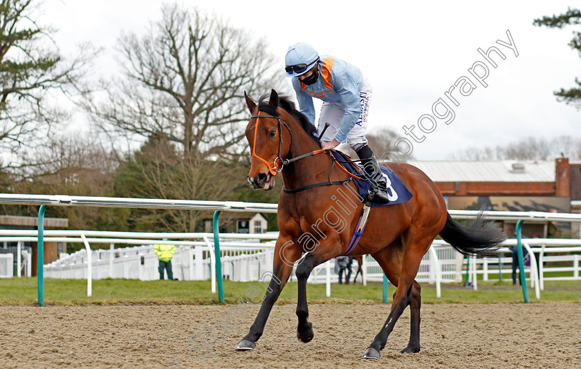 Thank-You-Next-0001 
 THANK YOU NEXT (Ryan Moore)
Lingfield 6 Mar 2021 - Pic Steven Cargill / Racingfotos.com