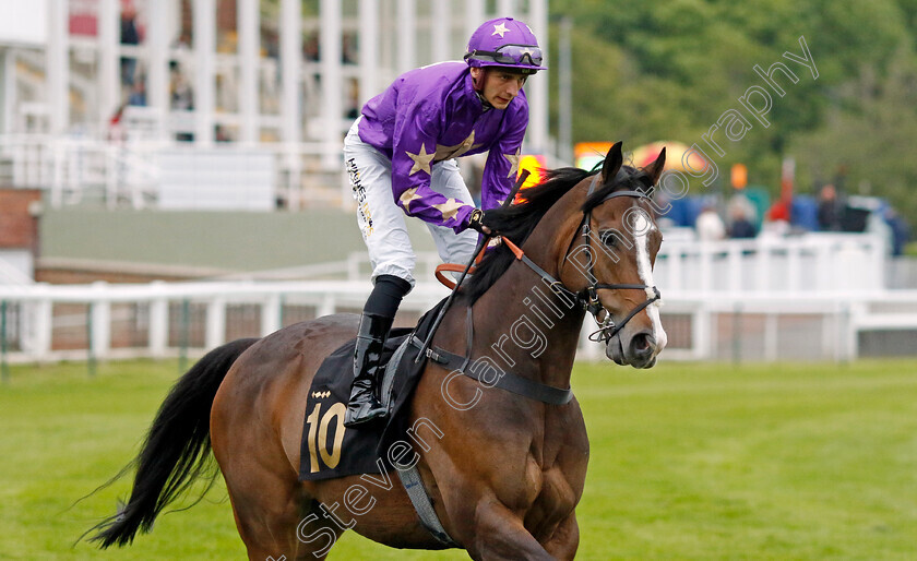 Long-Call-0001 
 LONG CALL (Ben Robinson)
Nottingham 30 May 2023 - Pic Steven Cargill / Racingfotos.com