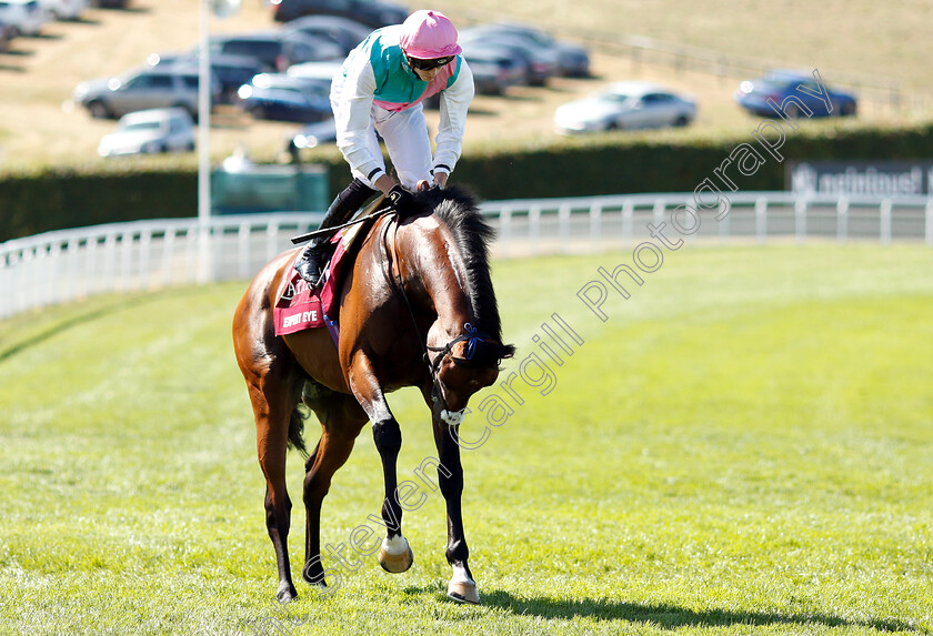 Expert-Eye-0002 
 EXPERT EYE (James Doyle)
Goowood 1 Aug 2018 - Pic Steven Cargill / Racingfotos.com