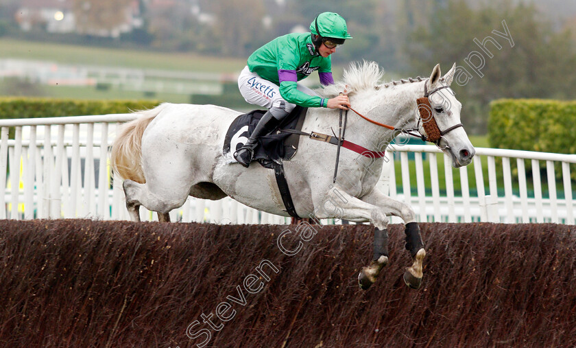 Achille-0002 
 ACHILLE (Charlie Deutsch)
Cheltenham 16 Nov 2019 - Pic Steven Cargill / Racingfotos.com