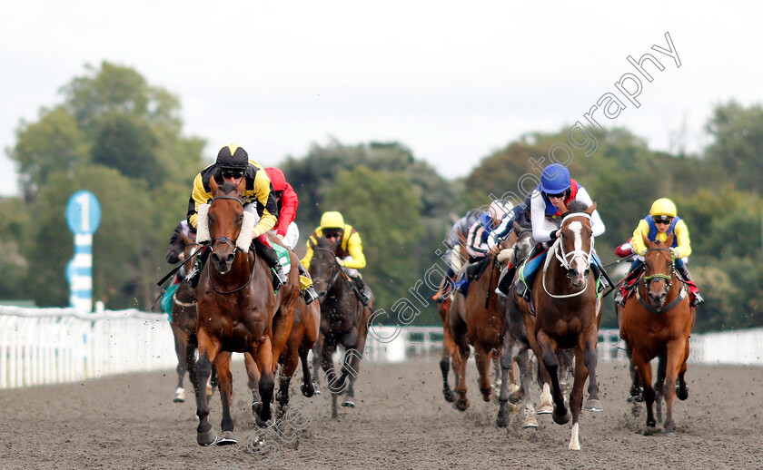 Baashiq-0002 
 BAASHIQ (Adam Kirby) wins The Bet At racingtv.com Handicap
Kempton 7 Aug 2019 - Pic Steven Cargill / Racingfotos.com