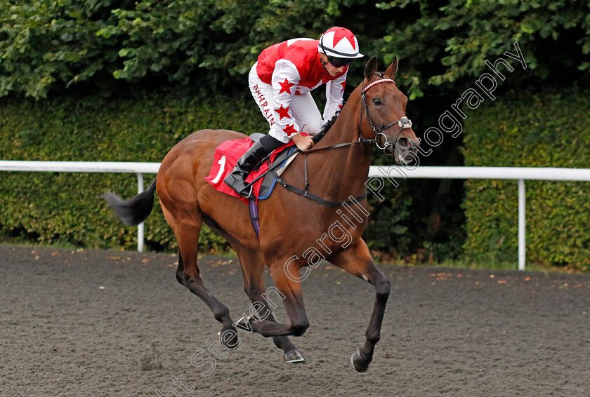 Masterkey-0001 
 MASTERKEY (Tom Marquand)
Kempton 7 Aug 2024 - Pic Steven Cargill / Racingfotos.com