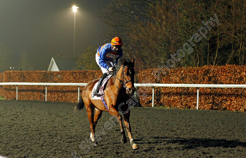 Your-Love-Is-King-0001 
 YOUR LOVE IS KING (Callum Shepherd)
Kempton 3 Mar 2021 - Pic Steven Cargill / Racingfotos.com