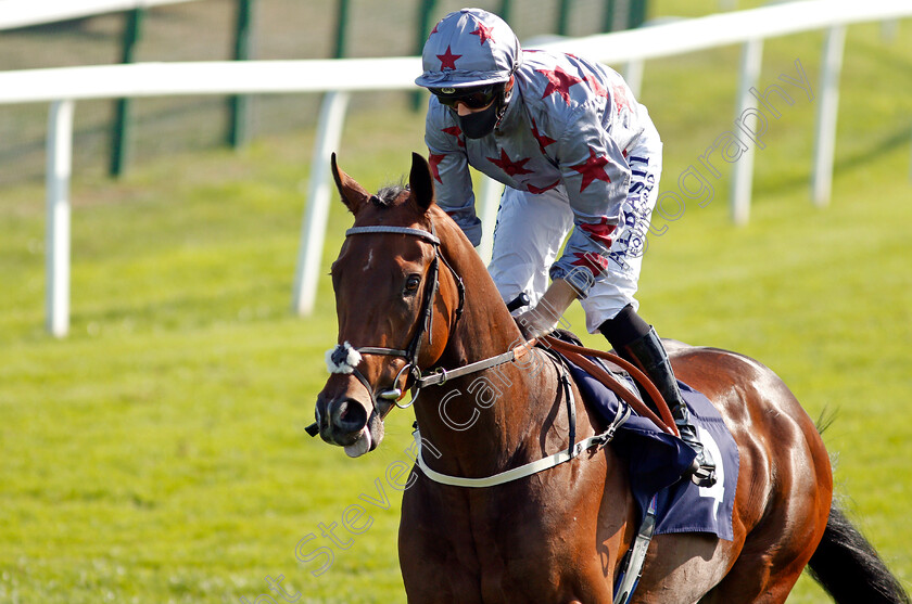 Sonderbar-0003 
 SONDERBAR (Ben Curtis)
Yarmouth 15 Sep 2020 - Pic Steven Cargill / Racingfotos.com