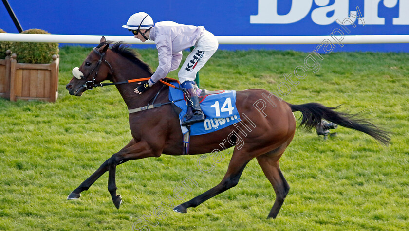 Run-For-Oscar-0002 
 RUN FOR OSCAR (David Egan) wins The Club Godolphin Cesarewitch Handicap
Newmarket 8 Oct 2022 - Pic Steven Cargill / Racingfotos.com