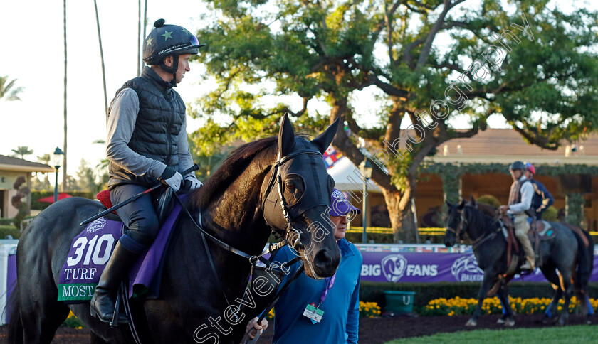 Mostahdaf-0008 
 MOSTAHDAF training for The Breeders' Cup Turf 
Santa Anita USA, 31 October 2023 - Pic Steven Cargill / Racingfotos.com