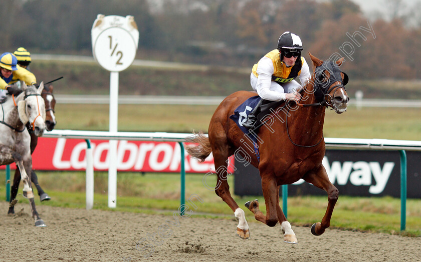 True-Destiny-0004 
 TRUE DESTINY (Adam McNamara) wins The Betway Stayers Handicap Div2
Lingfield 20 Nov 2018 - Pic Steven Cargill / Racingfotos.com